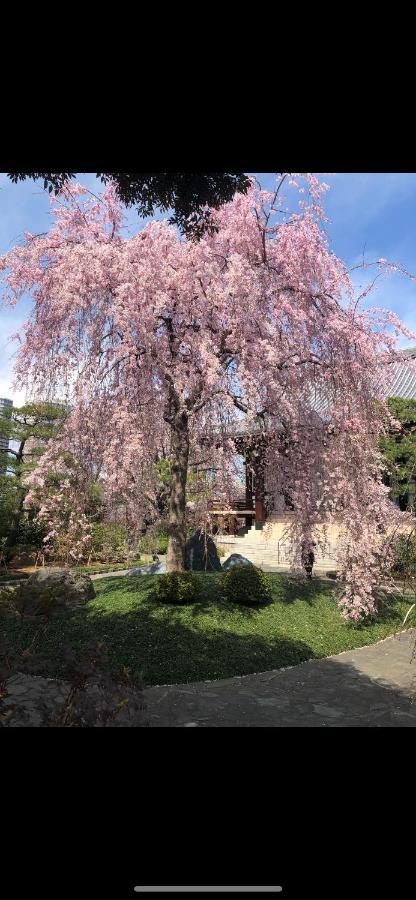 東洋の家-26 Square Meter Treadmi Garden House 公寓 東京都